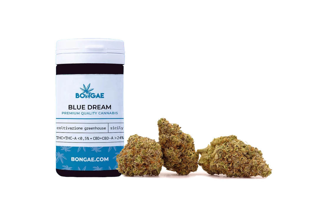 Blue Dream - kit degustazione da 10 gr.