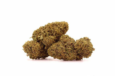 Cannabis coltivata in Sicilia ad Acireale, varietà therapy CBD