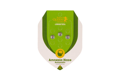 Immagine Packaging Amnesia Haze Automatic - Bongae 